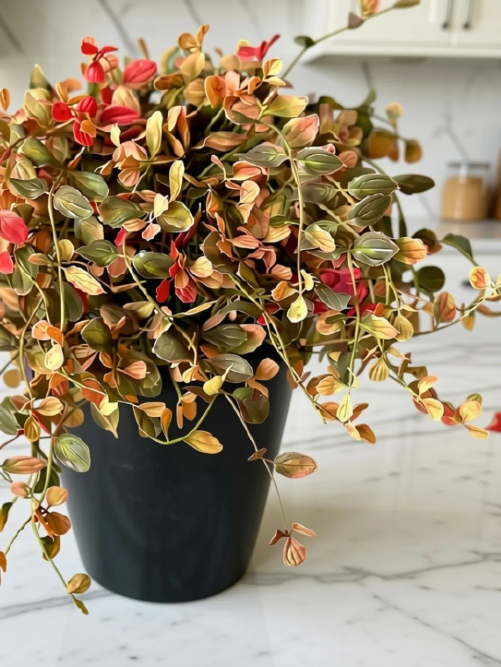 Autumn Bog Pimpernel Half Sphere